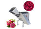 2000kg/H Industrial Fruit Vegetable Cube Cutting Machine