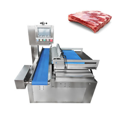 Machine de scie à bandeau à double coupe industrielle pour les côtes de bœuf congelées avec une coupe précise et précise