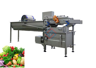 Type de vortex machine à laver végétale de fruit avec la fonction de Deslagging