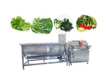 Salade végétale de bouillonnement de machine à laver de fruit nettoyant la chaîne de production végétale congelée de laitue