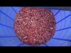 Ligne de machines automatiques de découpe de cubes de viande congelée