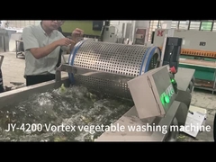 Machine de nettoyage par bulles d'ozone pour la transformation des salades de fruits et légumes