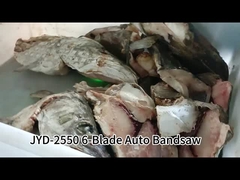 Machine à scie à bande verticale automatique à 6 lames qui coupe le poisson congelé avec contrôle tactile