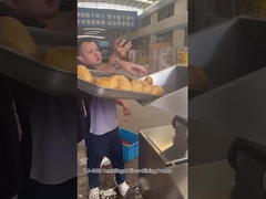 12 Stations de coupe Centrifugeuse machine à découper les chips de pomme de terre avec d'excellents résultats