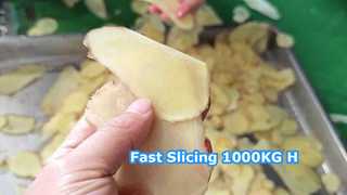 Machine centrifuge de la trancheuse 1000KG/H