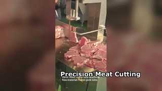 Scie à ruban de boucher JY310, coupe de viande de précision